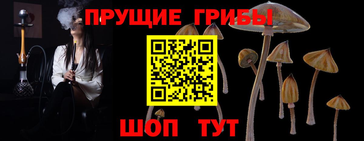 Псилоцибиновые грибы Psilocybe  Вход с VPN  Асбест 